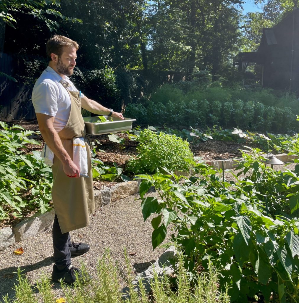07.2022 Sous (Alex) TC Garden_LC